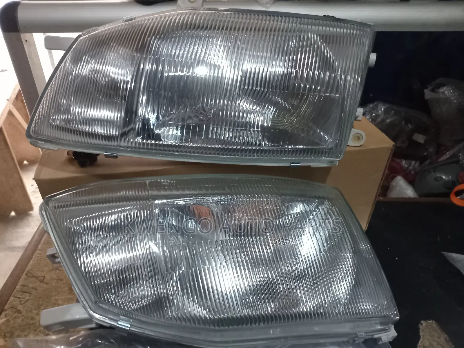 Fish Headlight