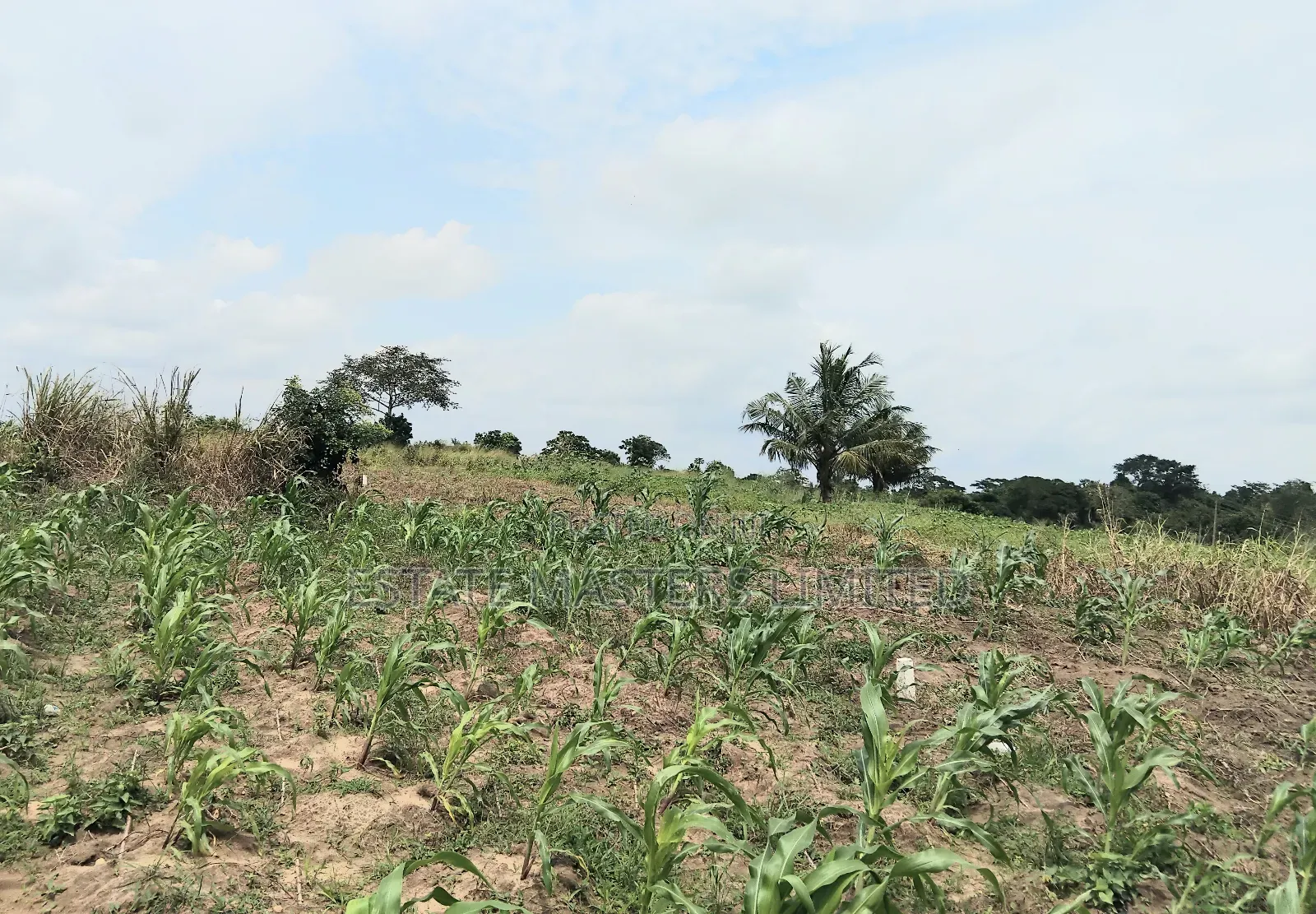 Buy Now, Pay Later. Flexible Land Payment Plan, " Dominase