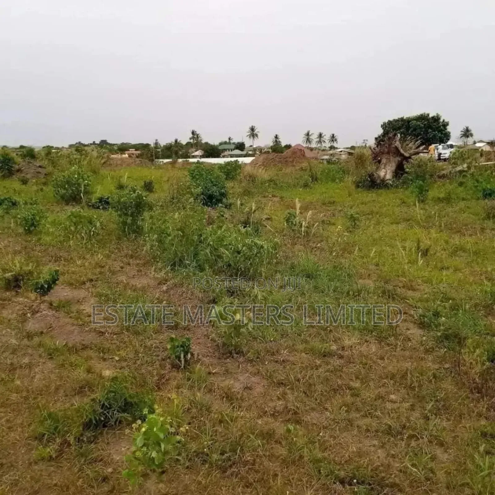 Unlock Endless Opportunities With Estate Land, "Dominase
