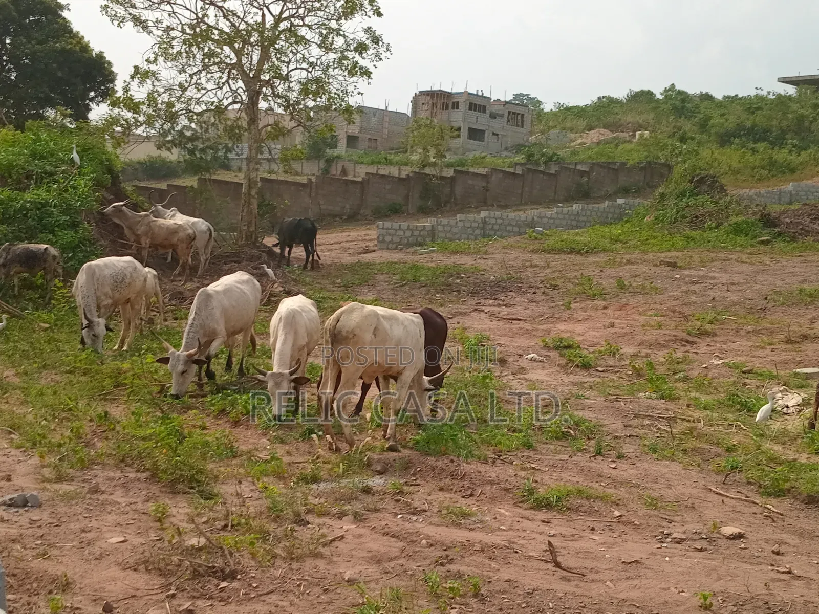 Land at Kwabenya Comet Estate