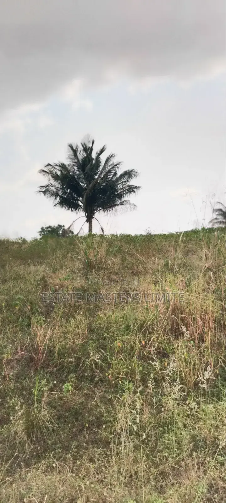 Five Acres of Lands Available for Sale