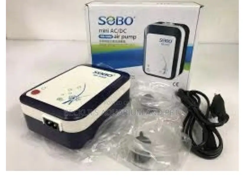 Chargeable Ac/Dc Air Pump