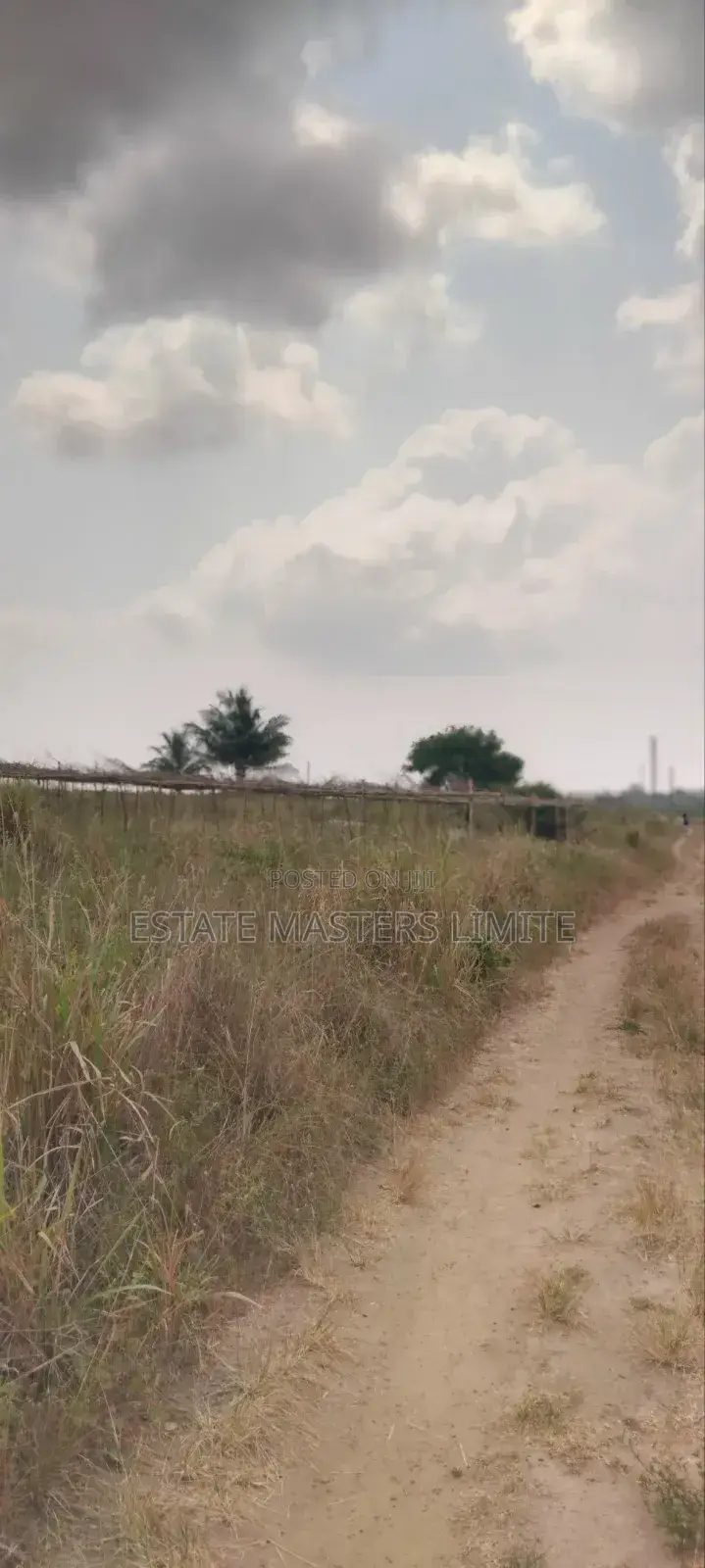 Crown Your Hustle With One Plot of Land for Sale