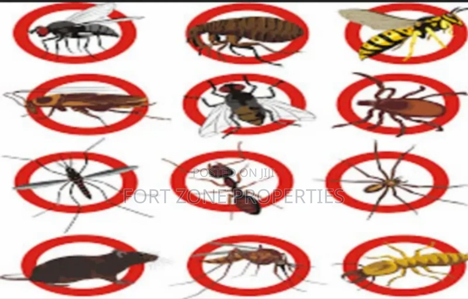 Easy Pest Control and Cleaning With Cleantex