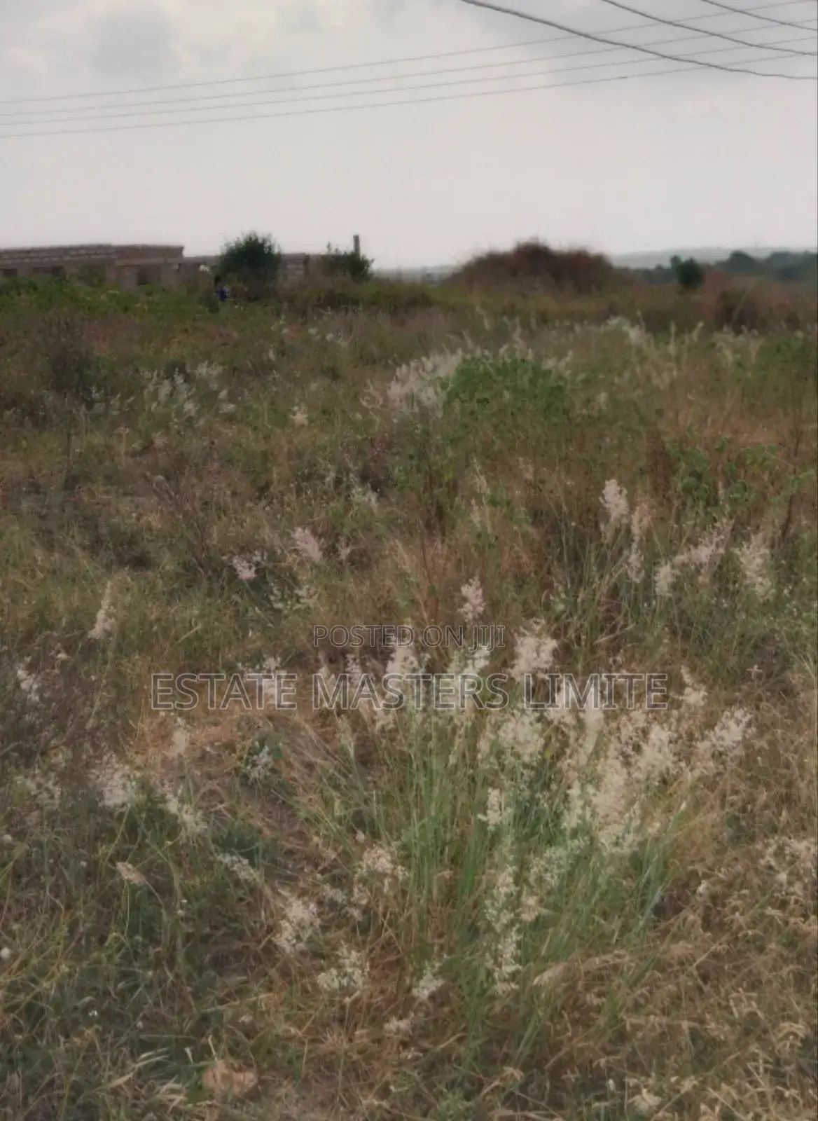 High Land for Sale