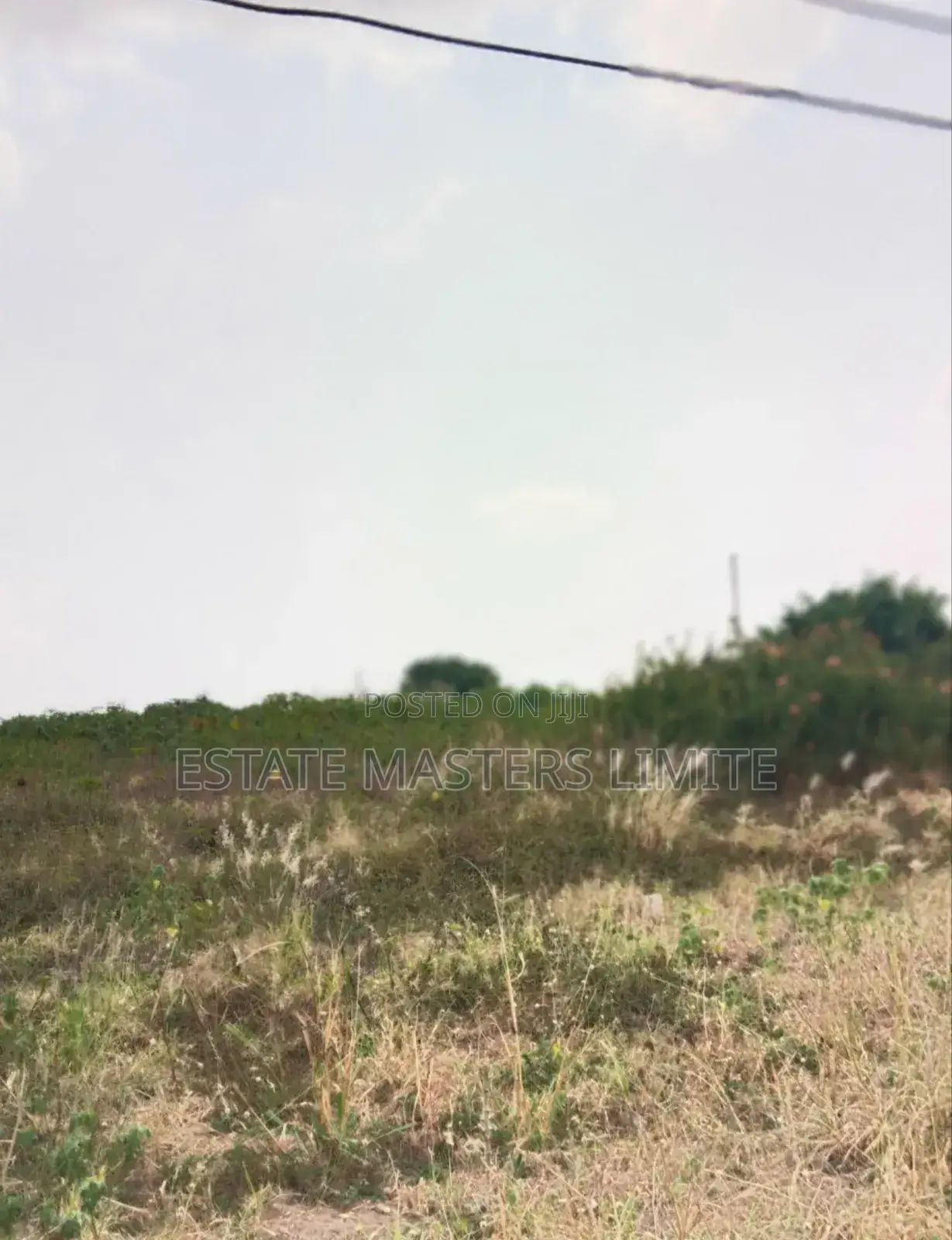 High Land for Sale