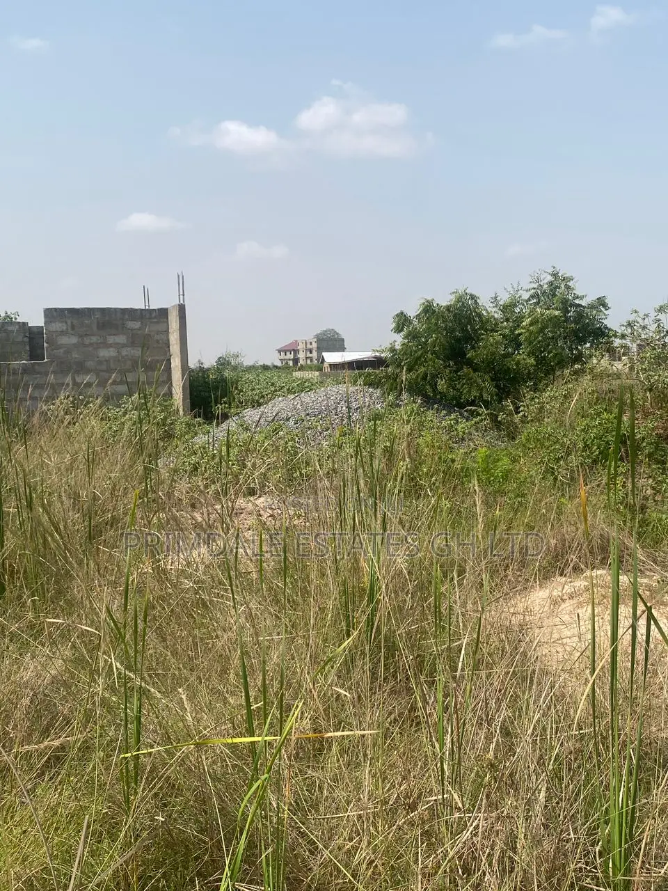 Afienya Lands With No Landguards