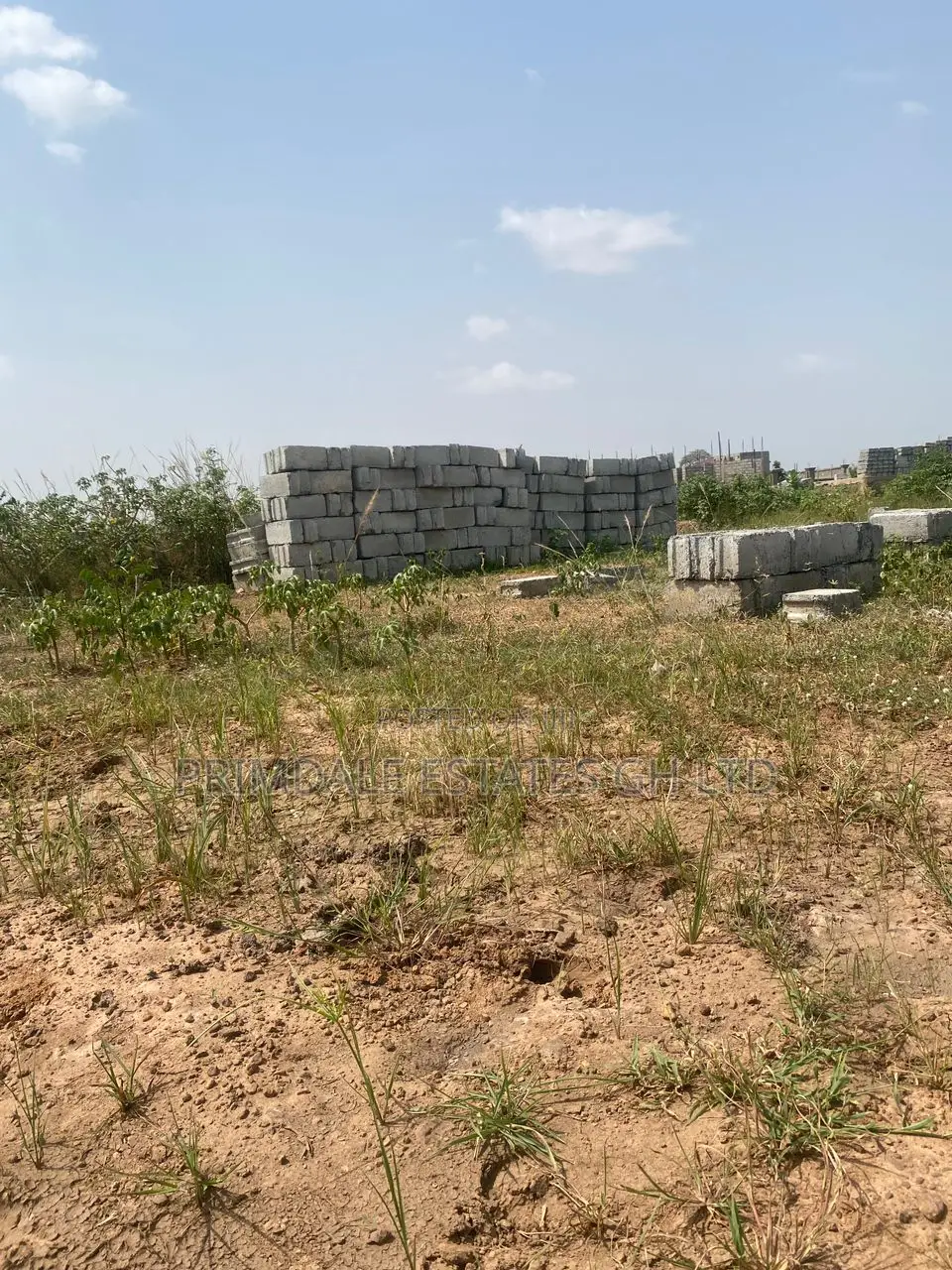 Afienya Lands With No Landguards