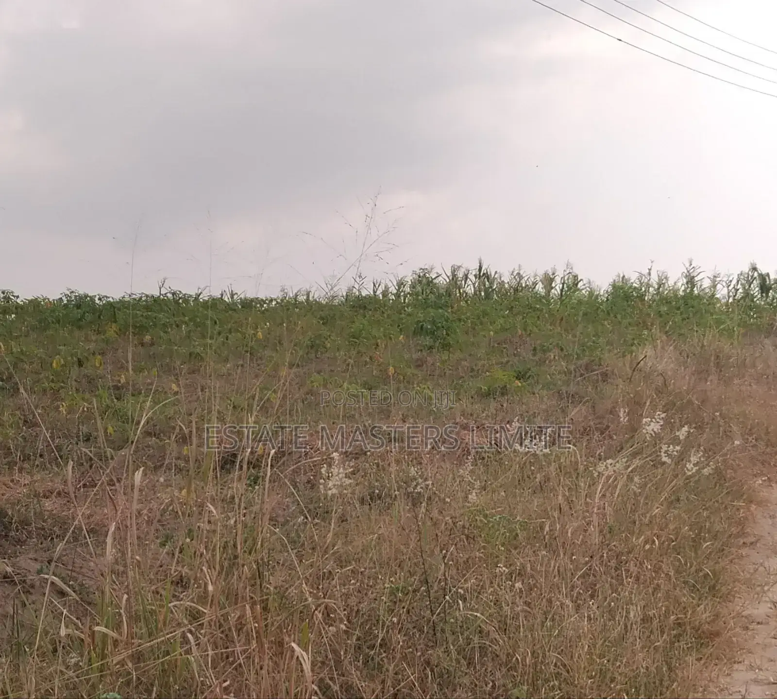Make Your Mark :Buy Land Now