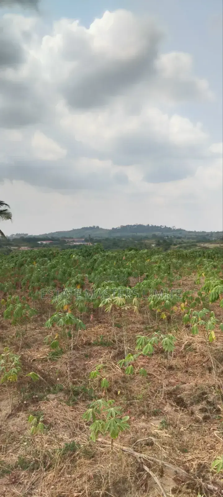 Your Dream Land Await: Buy Now