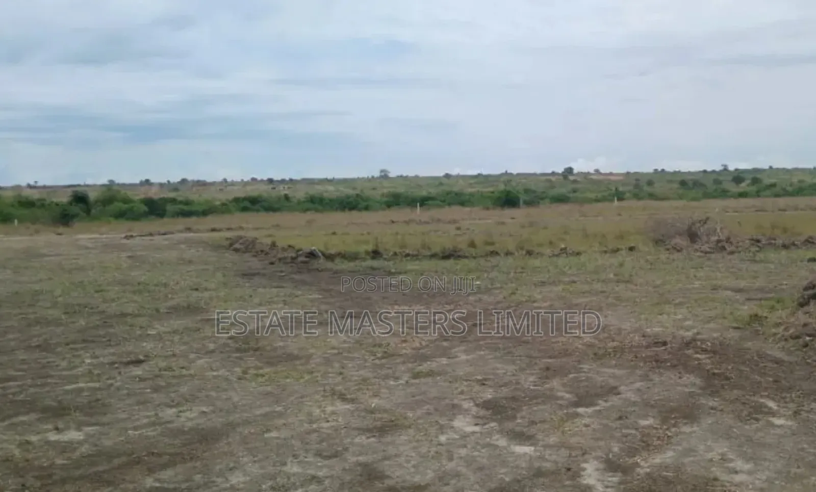 Step to Serenity, Own an Estate Land Surrounded by Nature.
