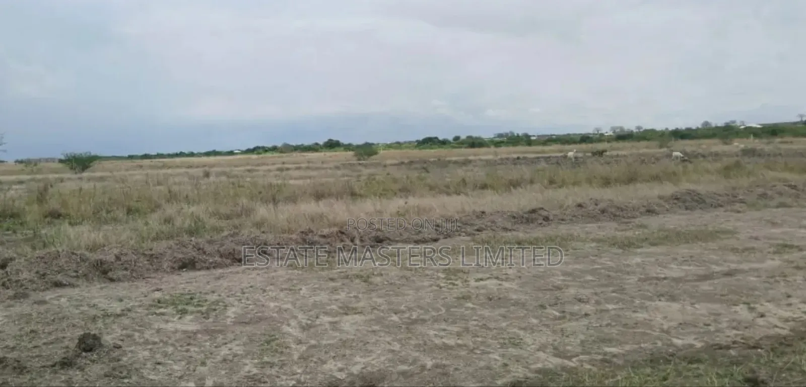 Secure Your Future, Invest in an Estate Land Now, "Tsopoli