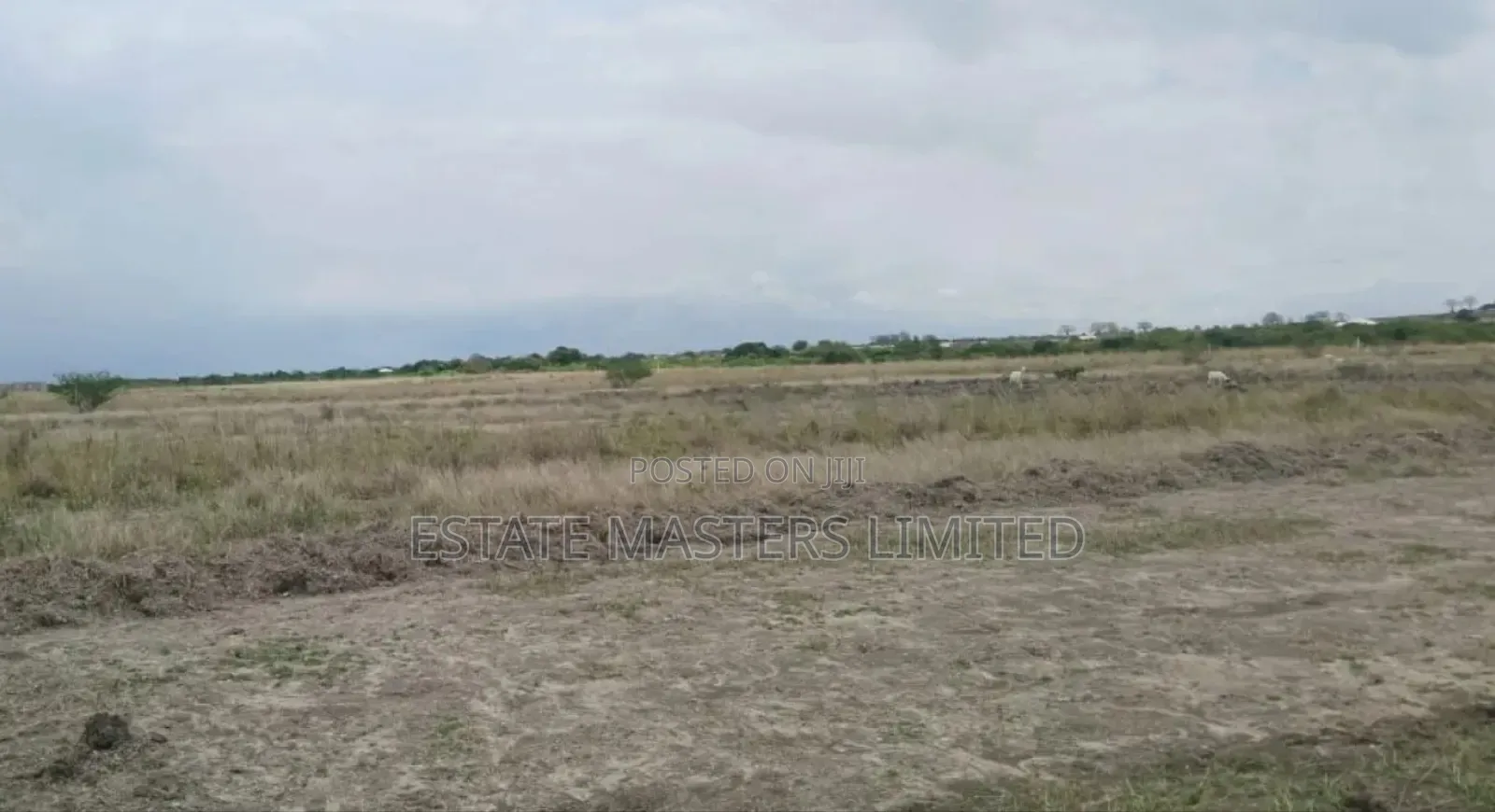 Future Proof Your Investment With Estate Lands, "Tsopoli