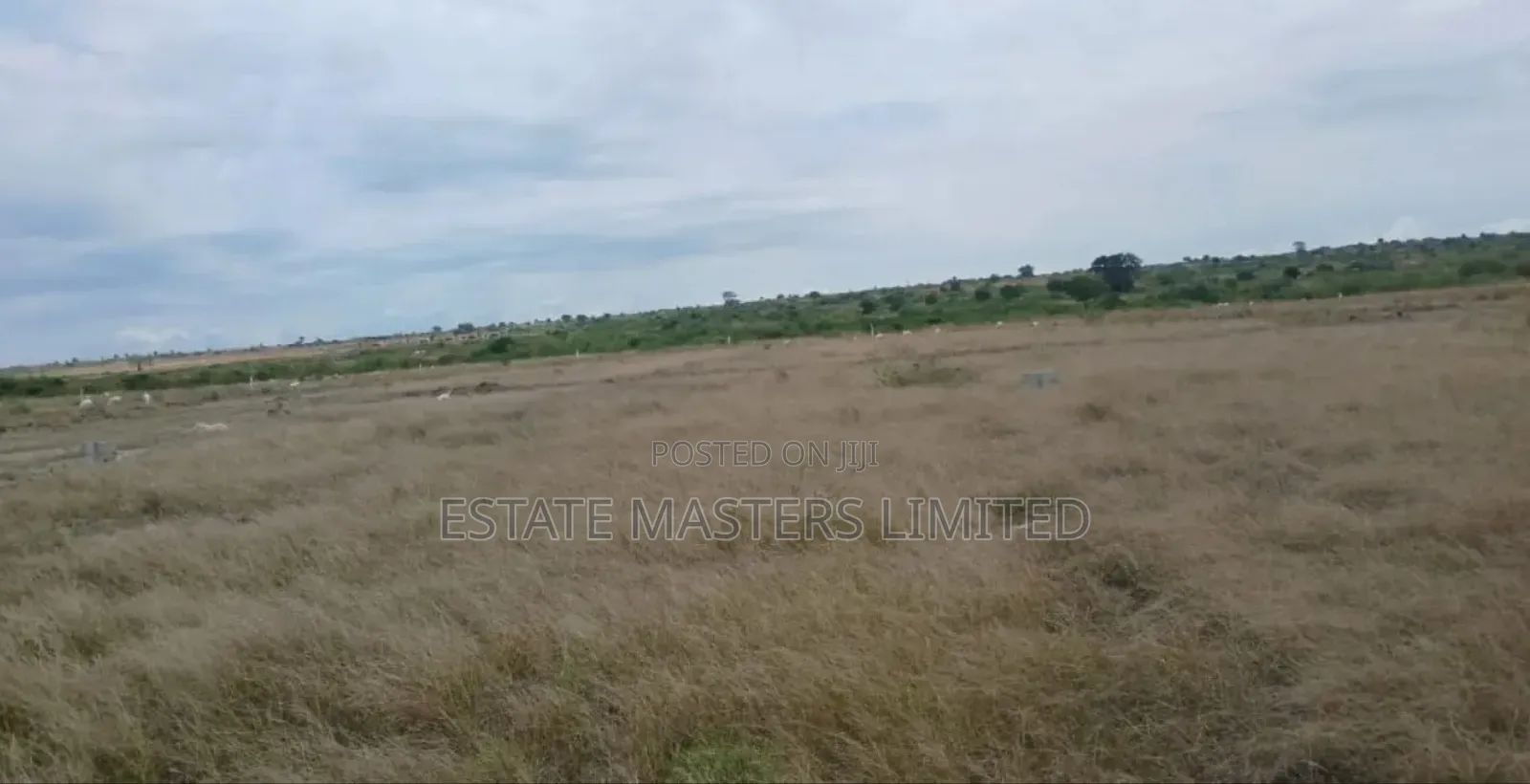 Future Proof Your Investment With Estate Lands, "Tsopoli