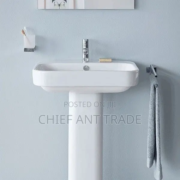 Basin With Pedestal. 05