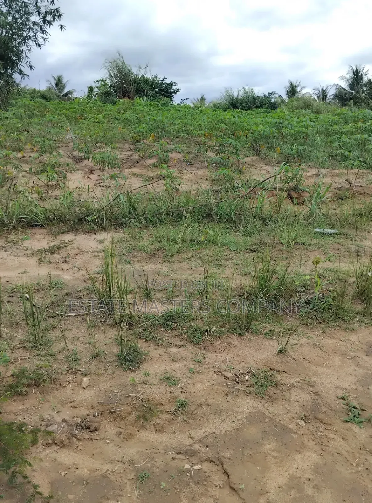 Get a Land That Will Revitalised Your Building Plans