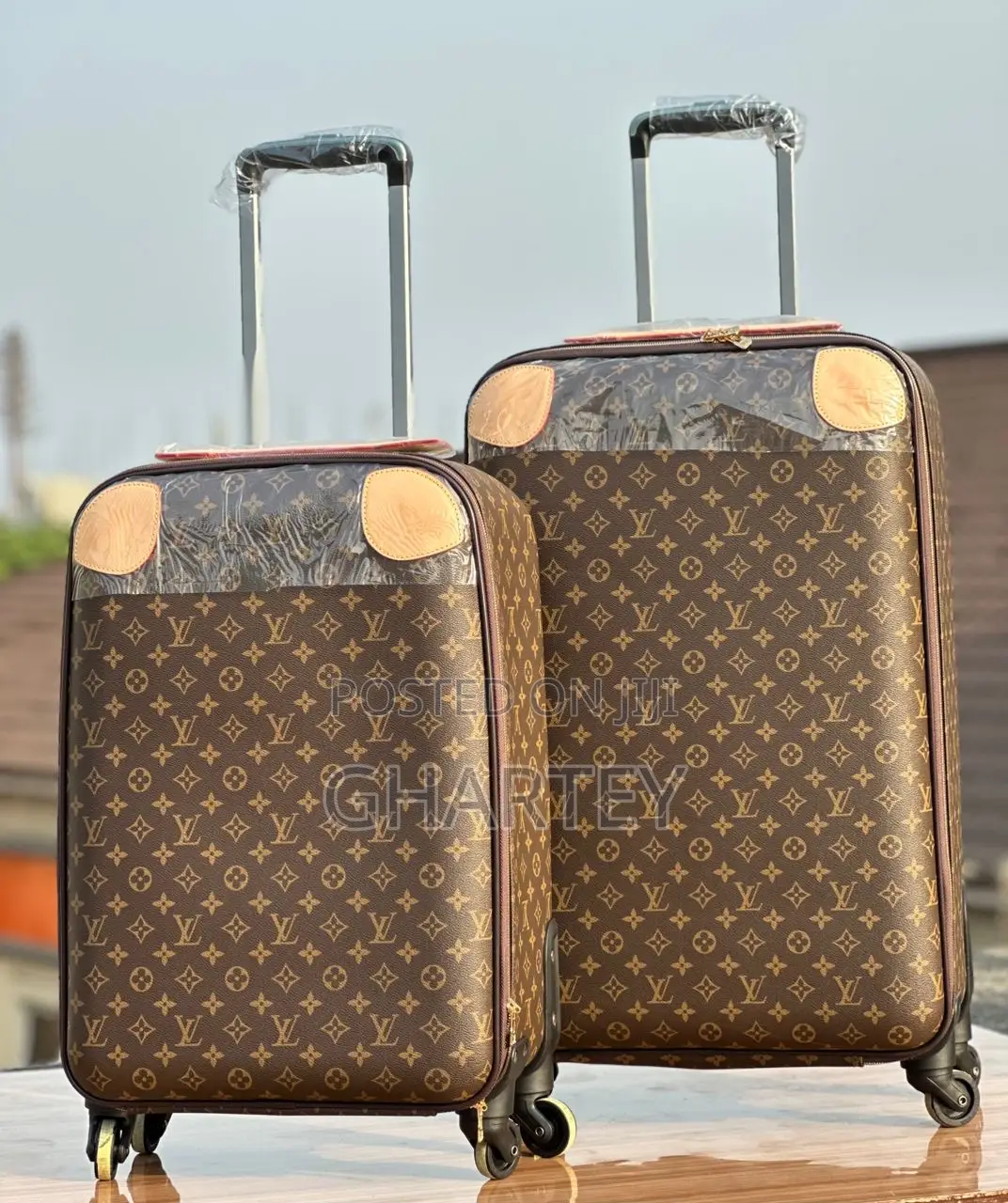 Designer Travel Bag Set