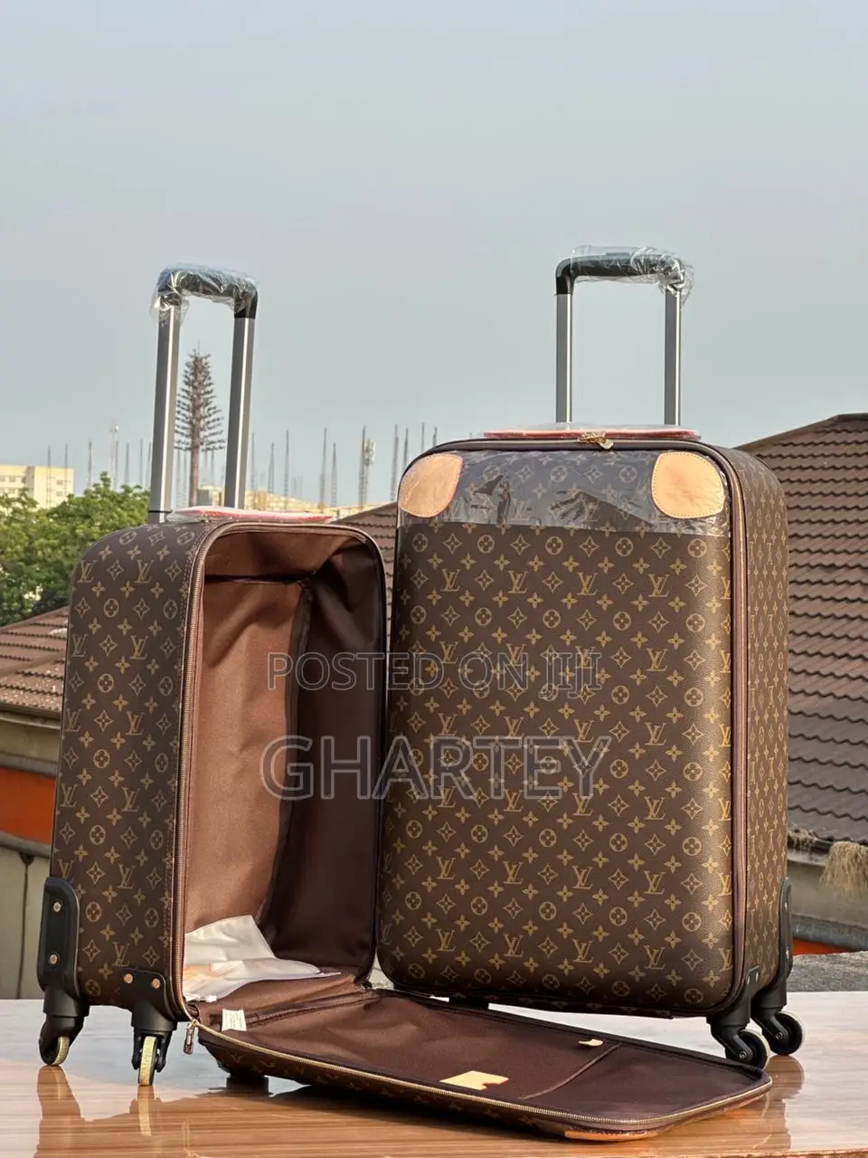 Designer Travel Bag Set