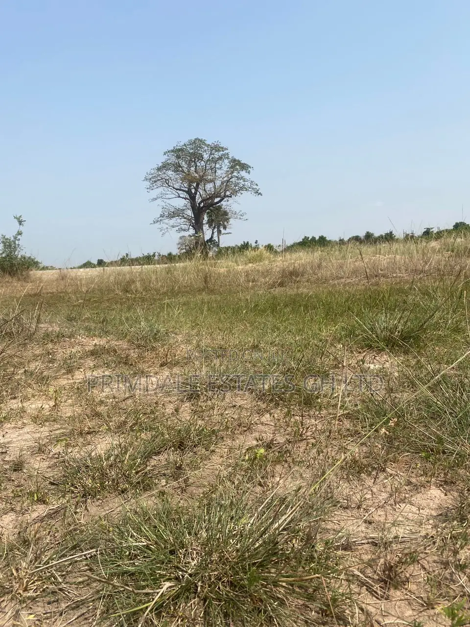Afienya Registered Lands+ On+ Quick+ Sale#