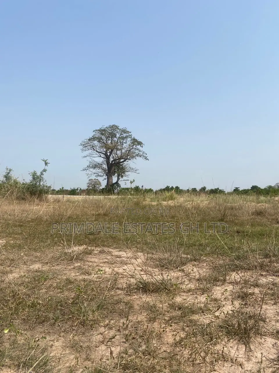 Own Afienya+Land+Property=Now!