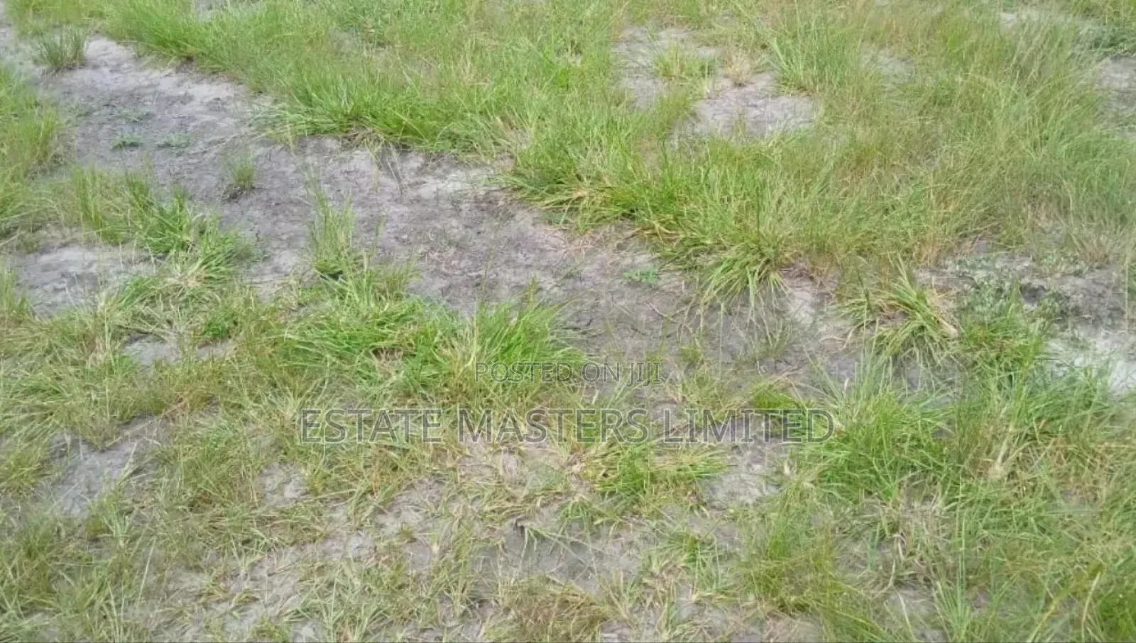 Greenery Living Made Possible, Own an Estate Land Today