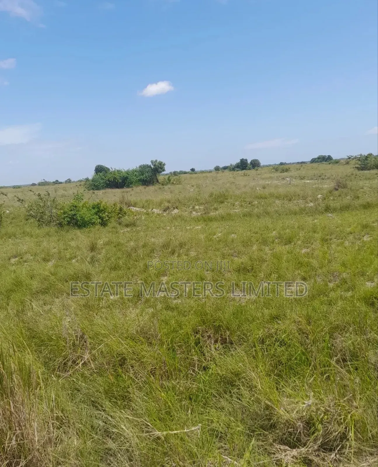 Where Luxury Meets Land for Sale, Secure Your Spot Now