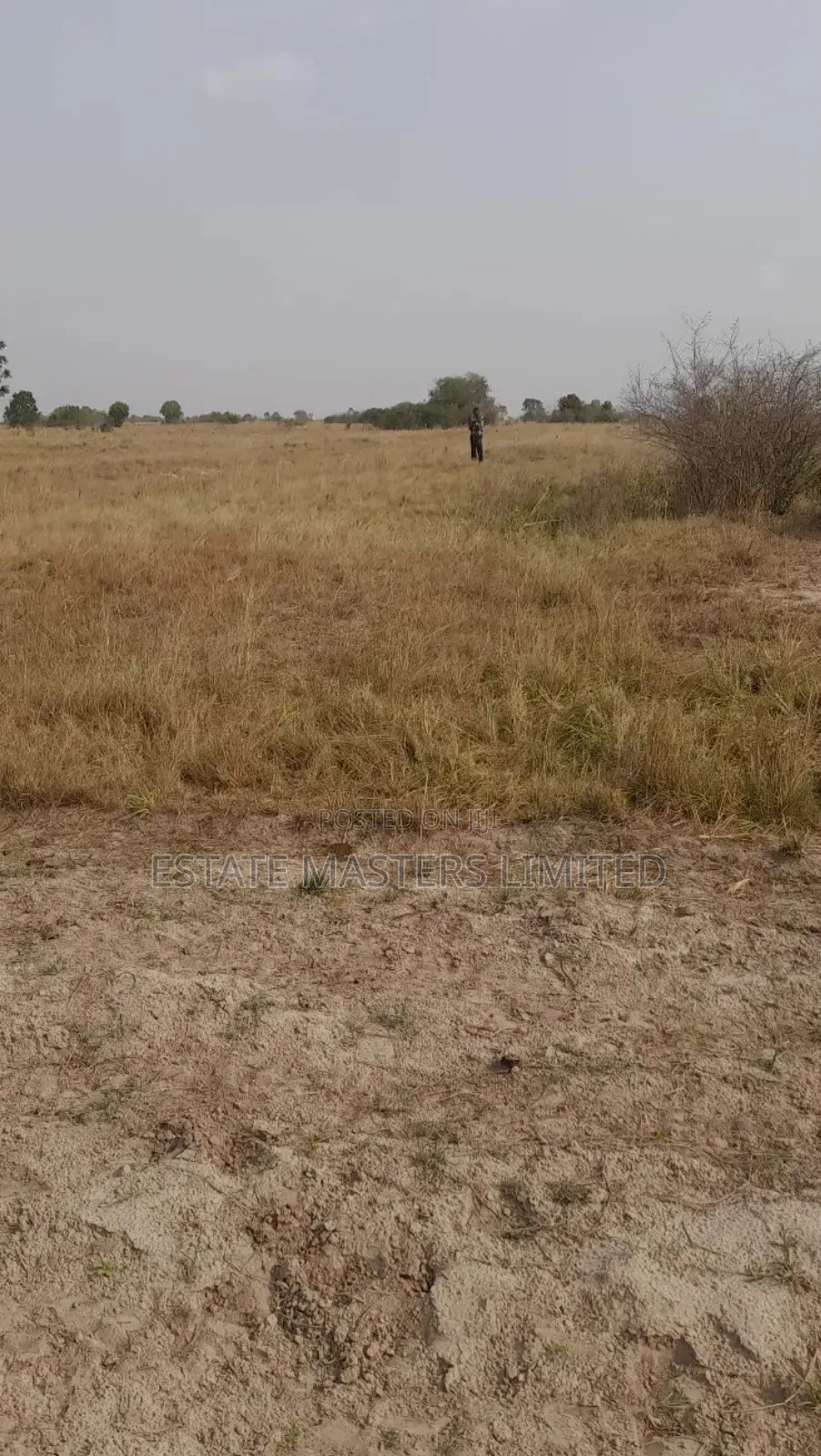 Reconnect With Nature, Serene Plots for Sale, Prampram