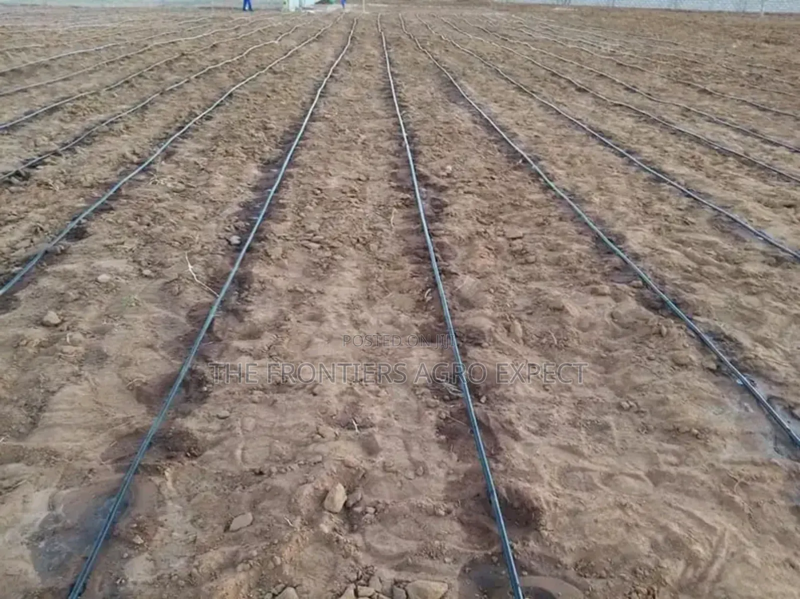 Drip Irrigation Installation