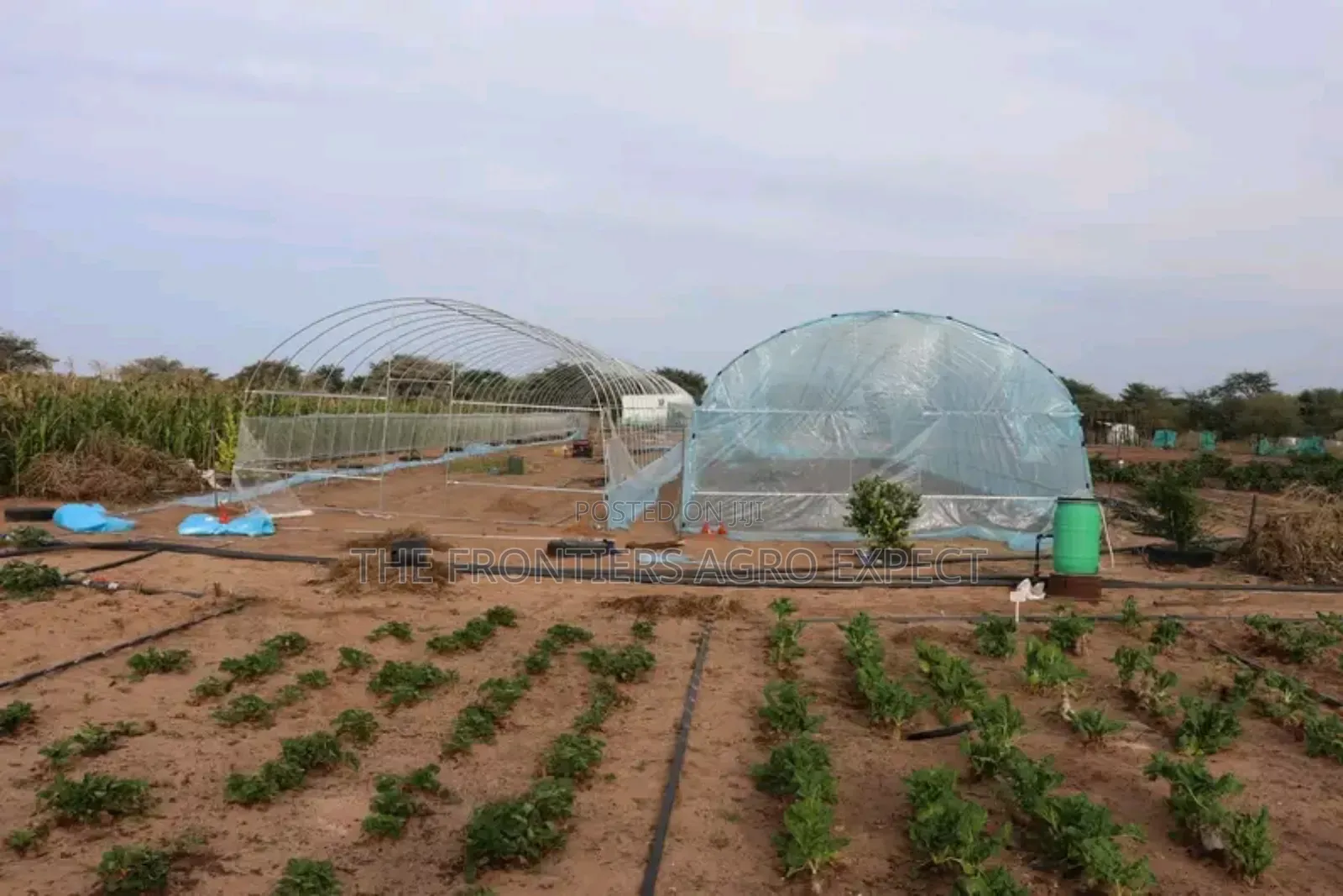 Imported Greenhouse Installation