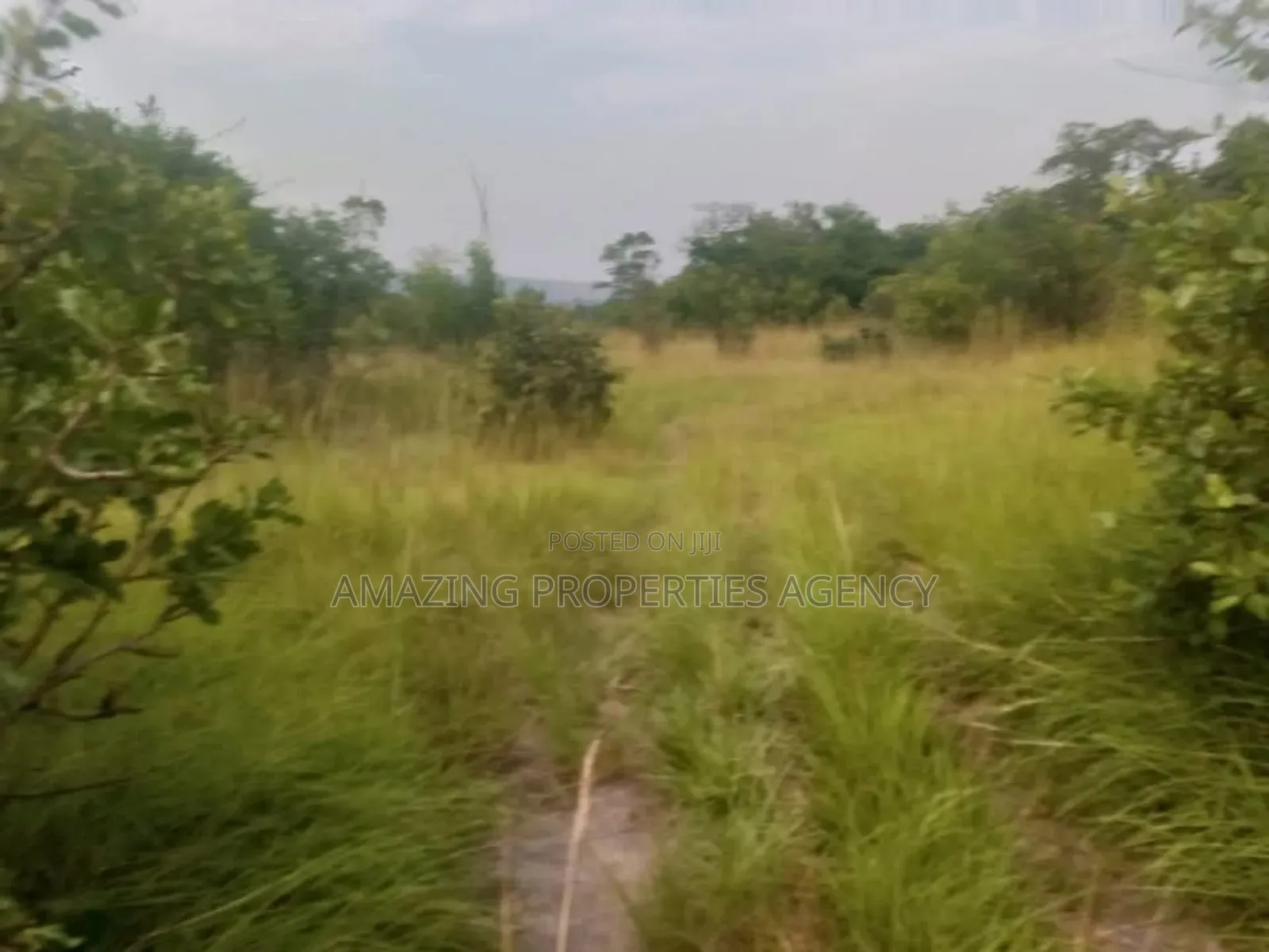 Land Available For Sale At
