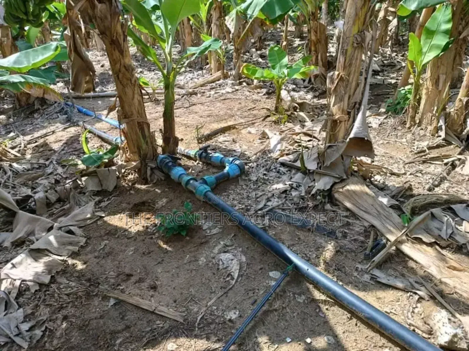 Solar and Irrigation Installation. + Free Solar CCTV Camera