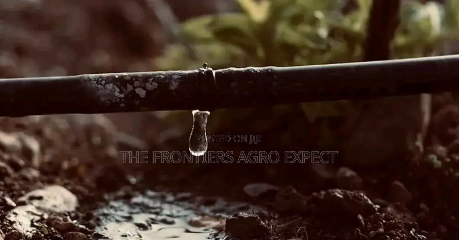 Solar and Irrigation Installation. + Free Solar CCTV Camera