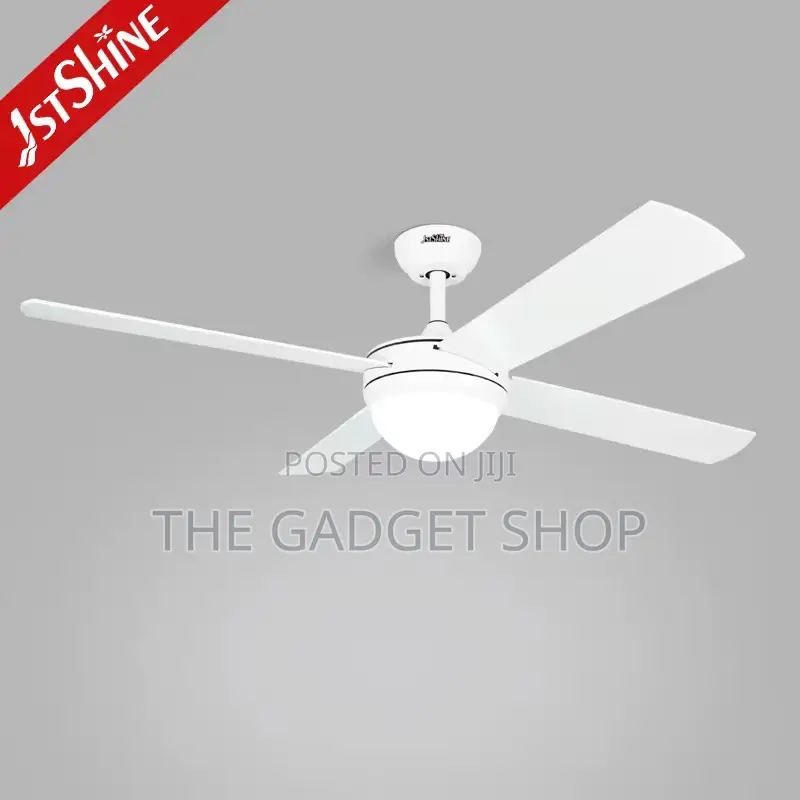 Ceiling Fan With Light