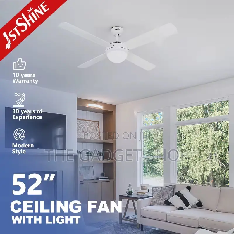 Ceiling Fan With Light