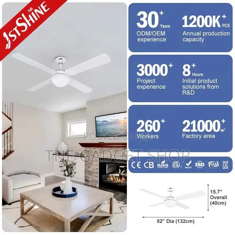 Ceiling Fan With Light