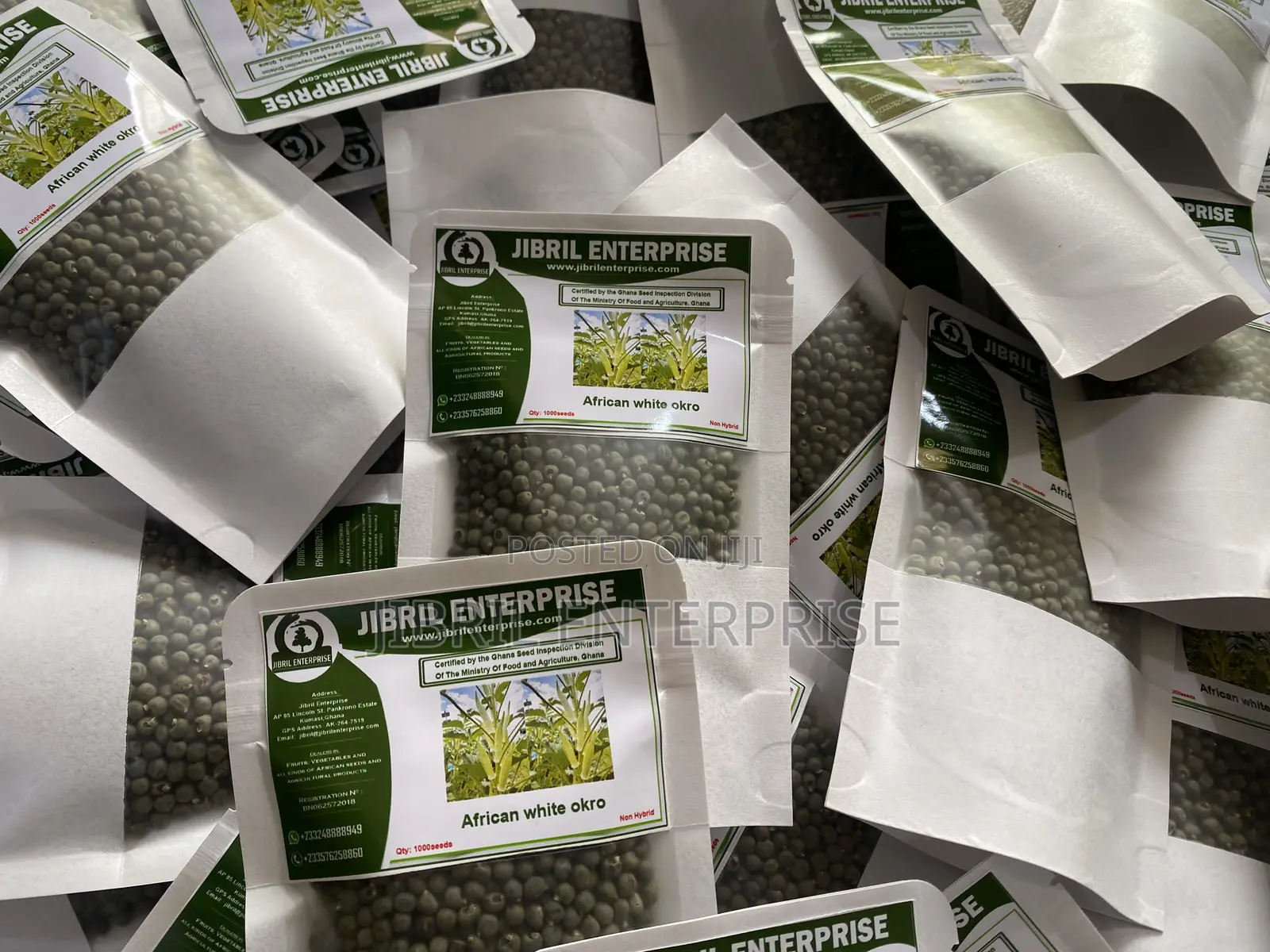 Ashanti Okro/White Ladies Finger, 45 Days Early Mature Okro Variety