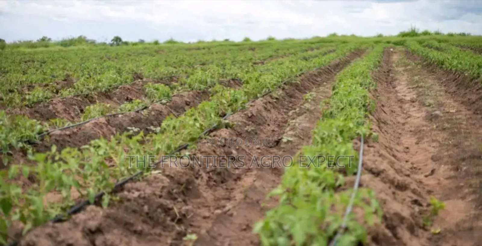 Commercial Solar System and Irrigation Installation