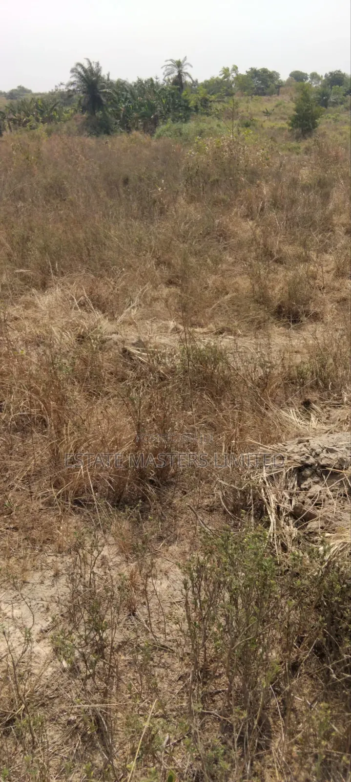 Take Your Future Up With Land Ownership From Estate Masters