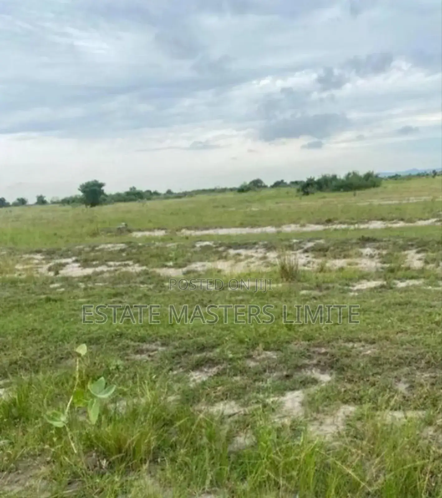 Environment Friendly With Services Plots of Land for Sale