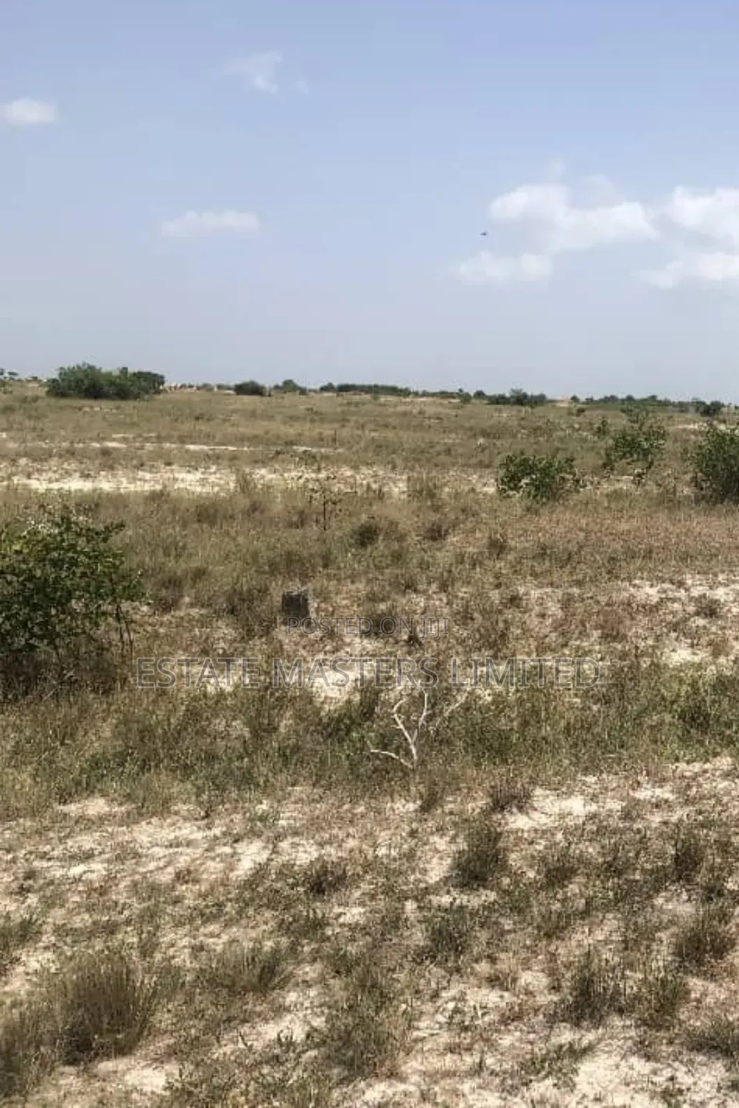 Character Filled Lands in the Heart of Tsopoli- New Airport