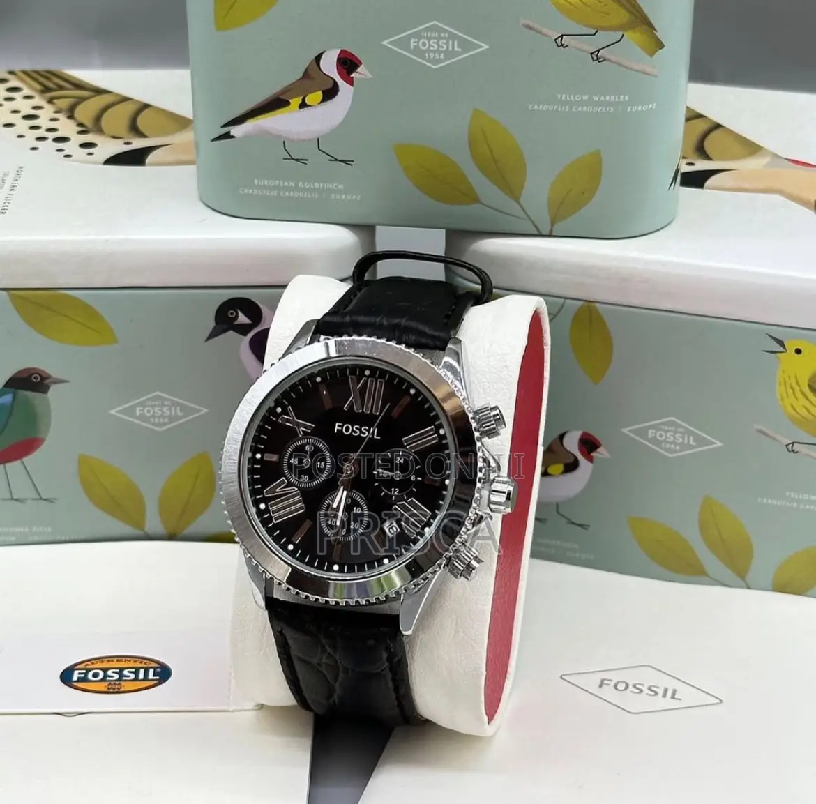 Fossil Watch