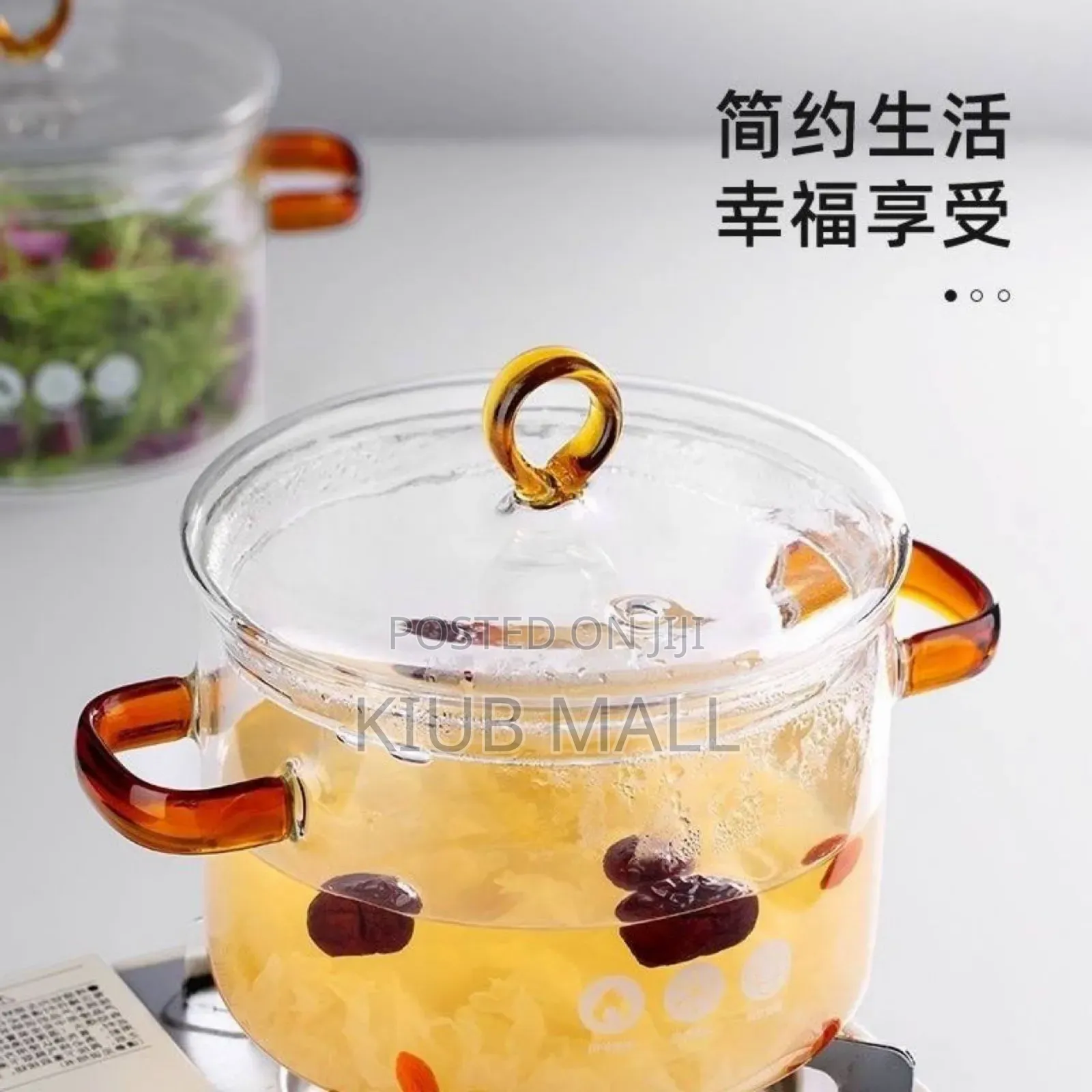 1900 Ml Glass Pot