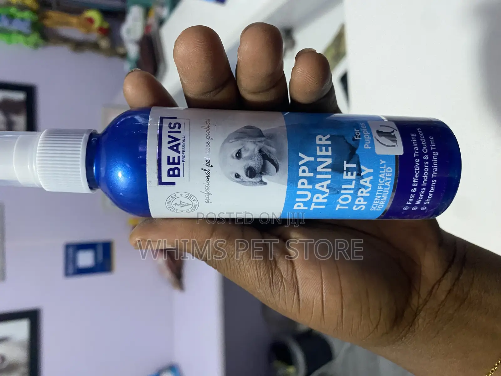 Beavis Puppy Trainer Toilet Spray