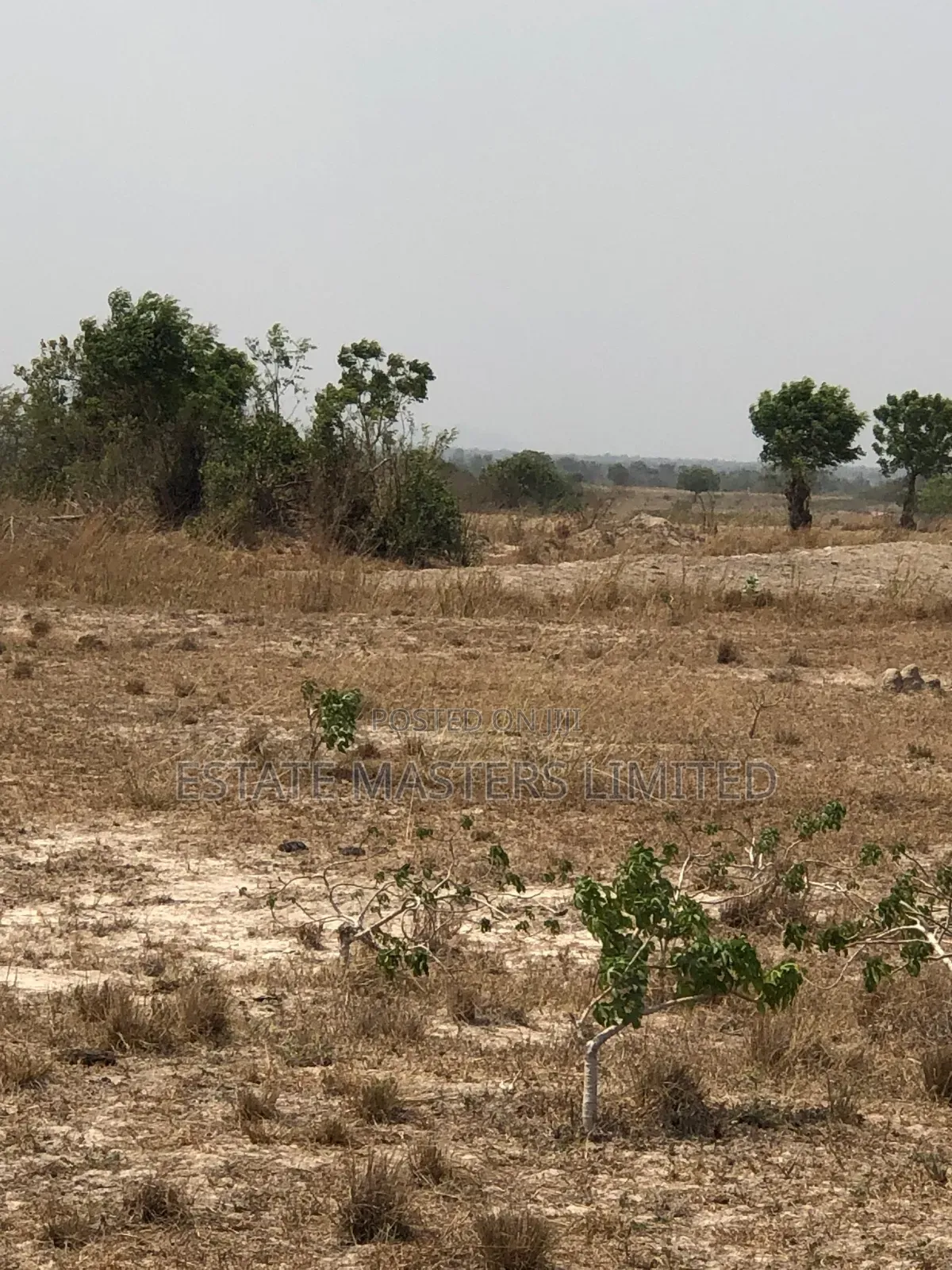 Nest Cottage Plots Off Tema-Aflao Highway. Rush for a Spot!