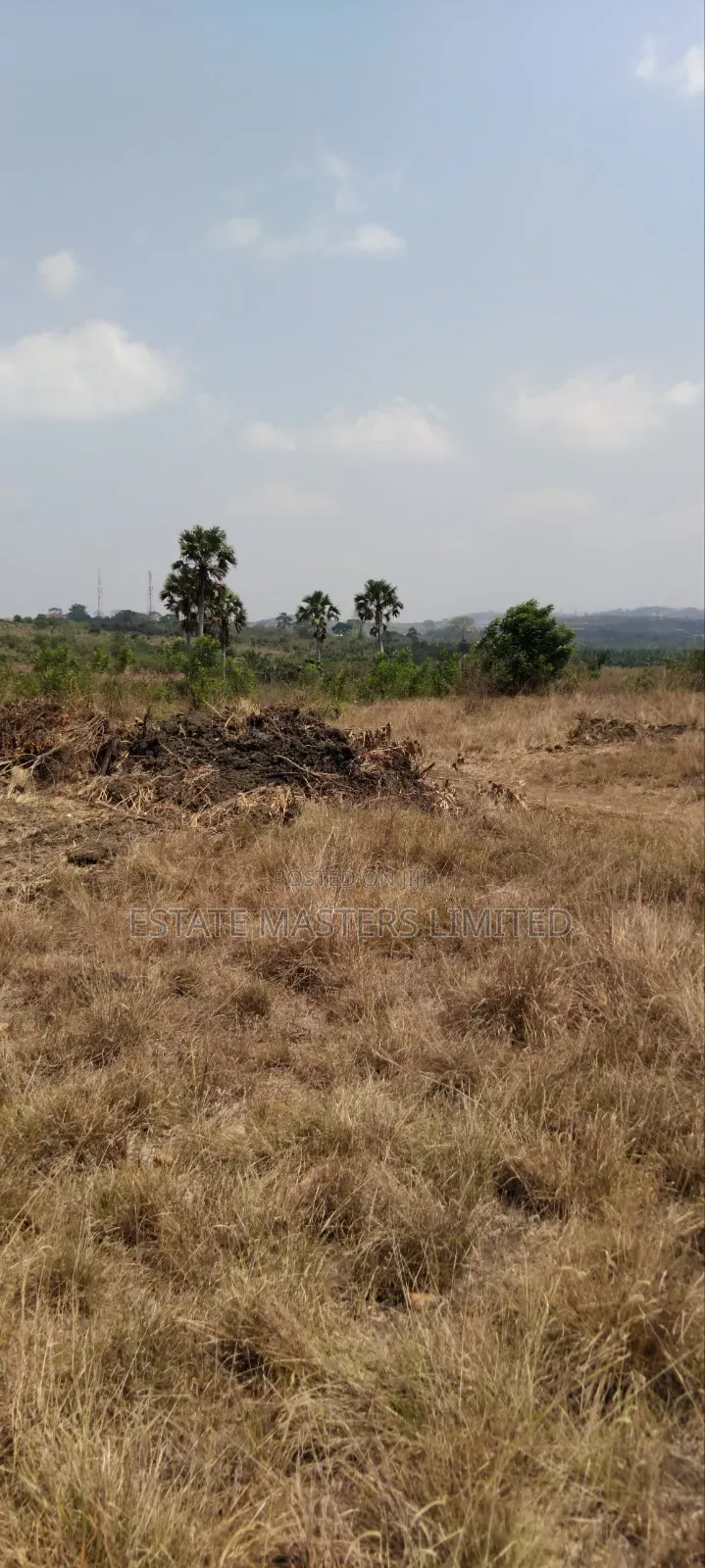 Bare Lands Reserved for Your Future Investment