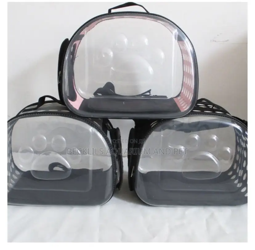 Transparent Dog Carrier