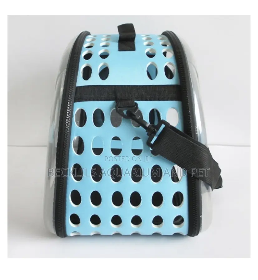 Transparent Dog Carrier