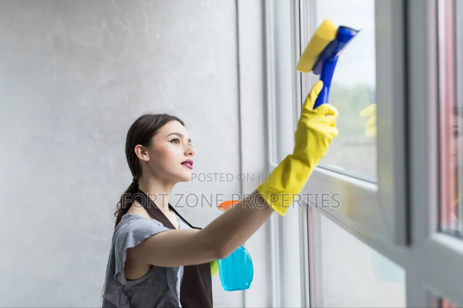 All Long Day Fumigation and Cleaning Service