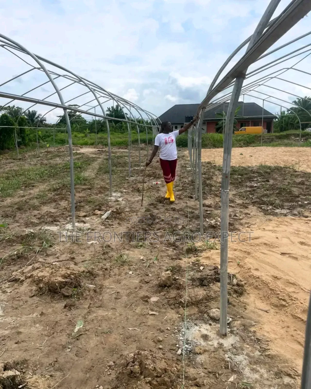 Commercial Greenhouse Farm