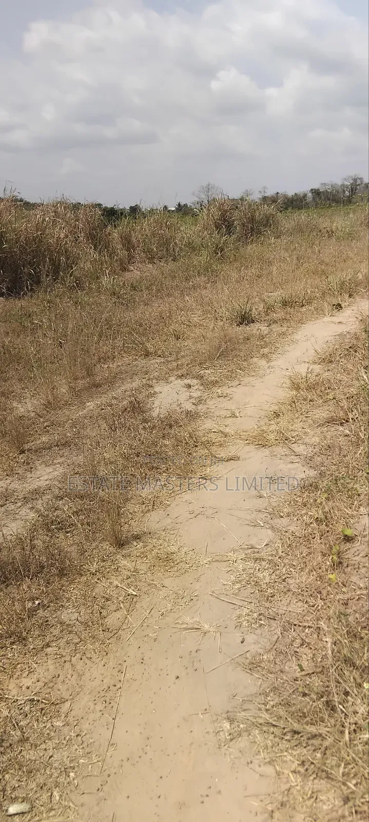 Fast Sales! Join in and Secure a Plot or More!!